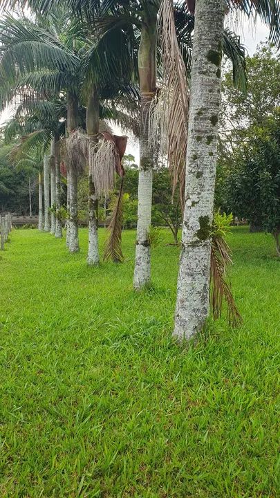 Sitio Sanga Funda Içara SC