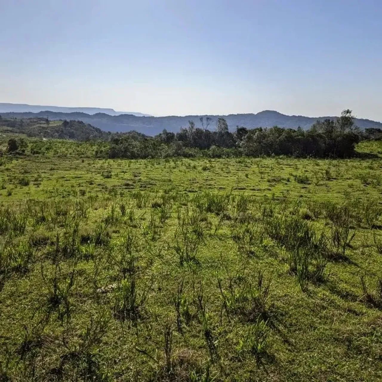 Últimas Unidades! Terreno de 1000m² em Mairinque-SP com Vista para a Represa! - Foto 9