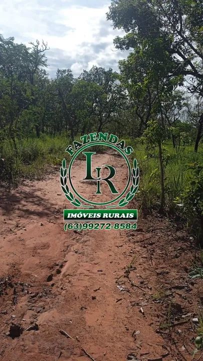 Fazenda 488 Alqueires Tocantins Bruta  - Foto 3