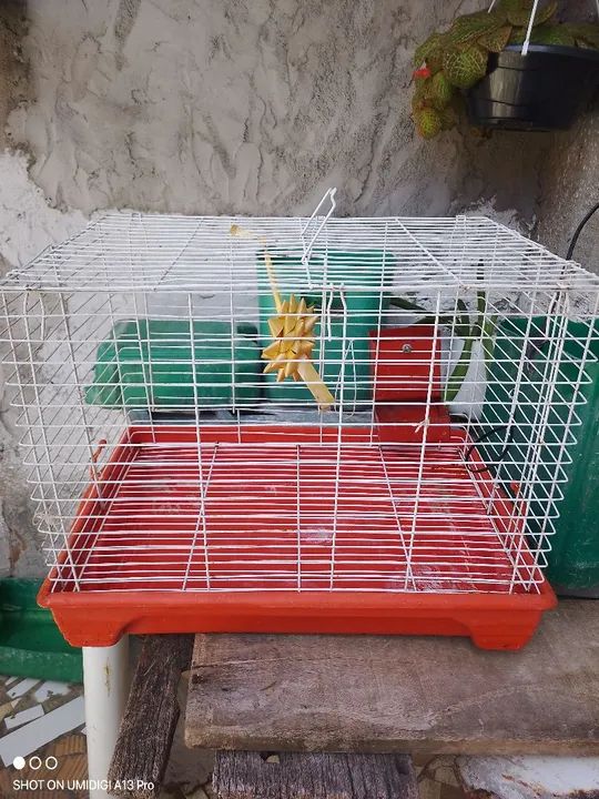  Vende se Gaiola para Roedores - Foto 4