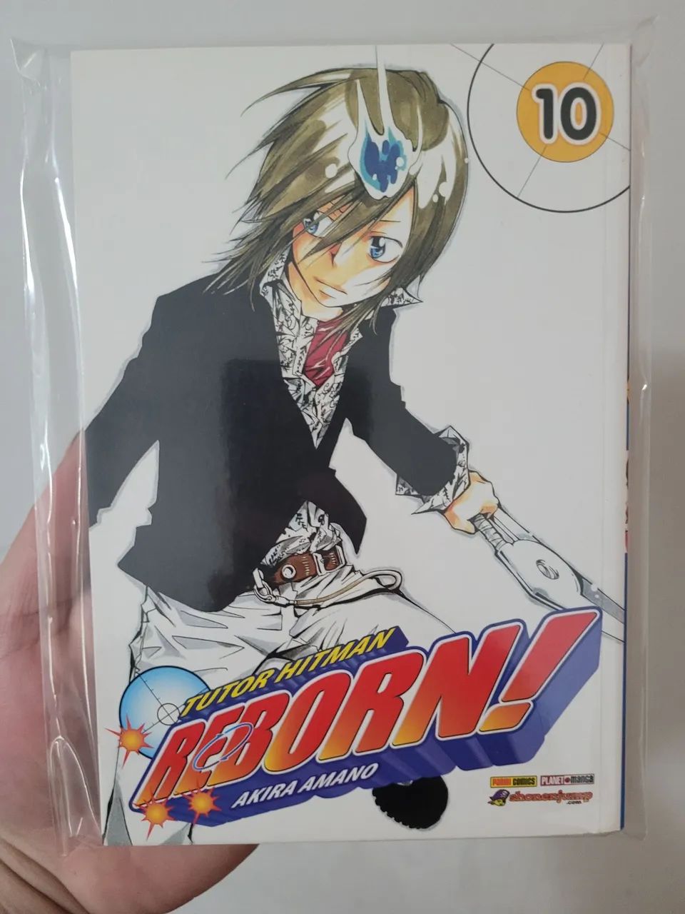 Tutor Hitman Reborn volume 10