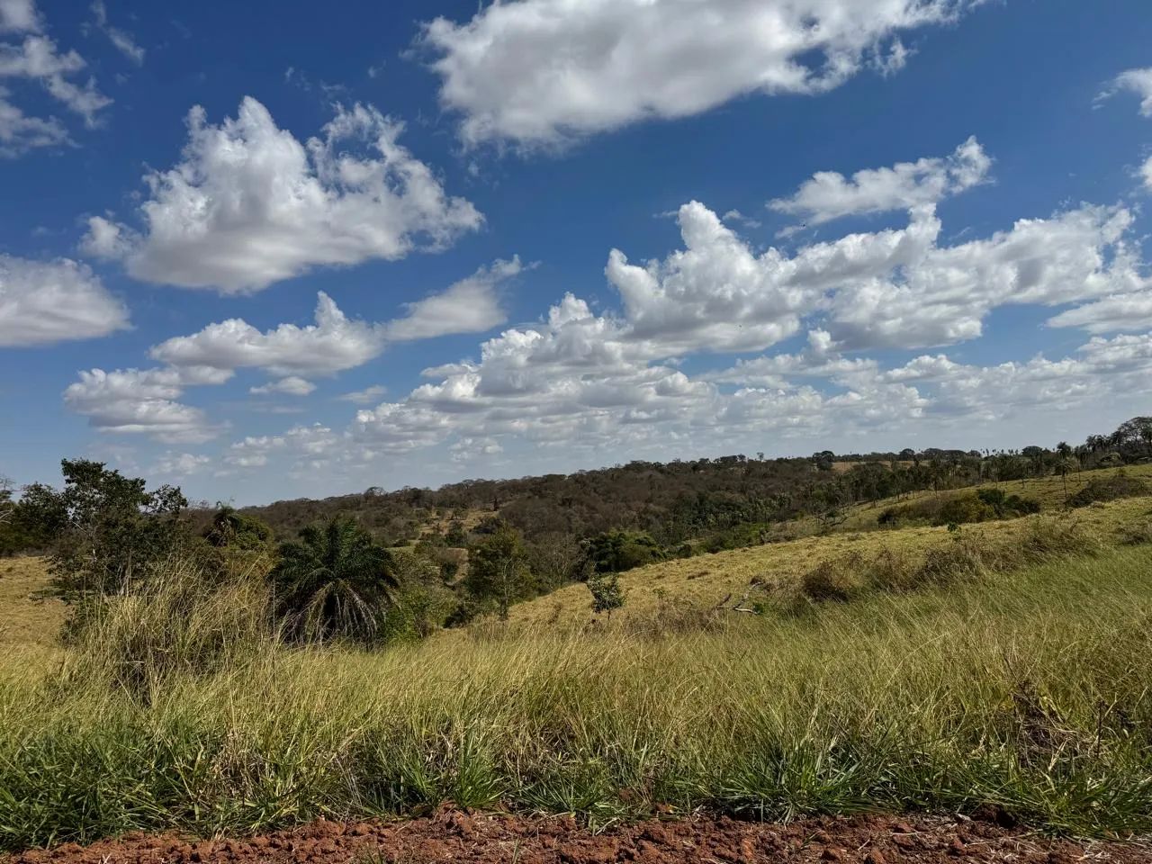 Chácara de 4.3 alqueires em Avelinópolis-Go  - Foto 2