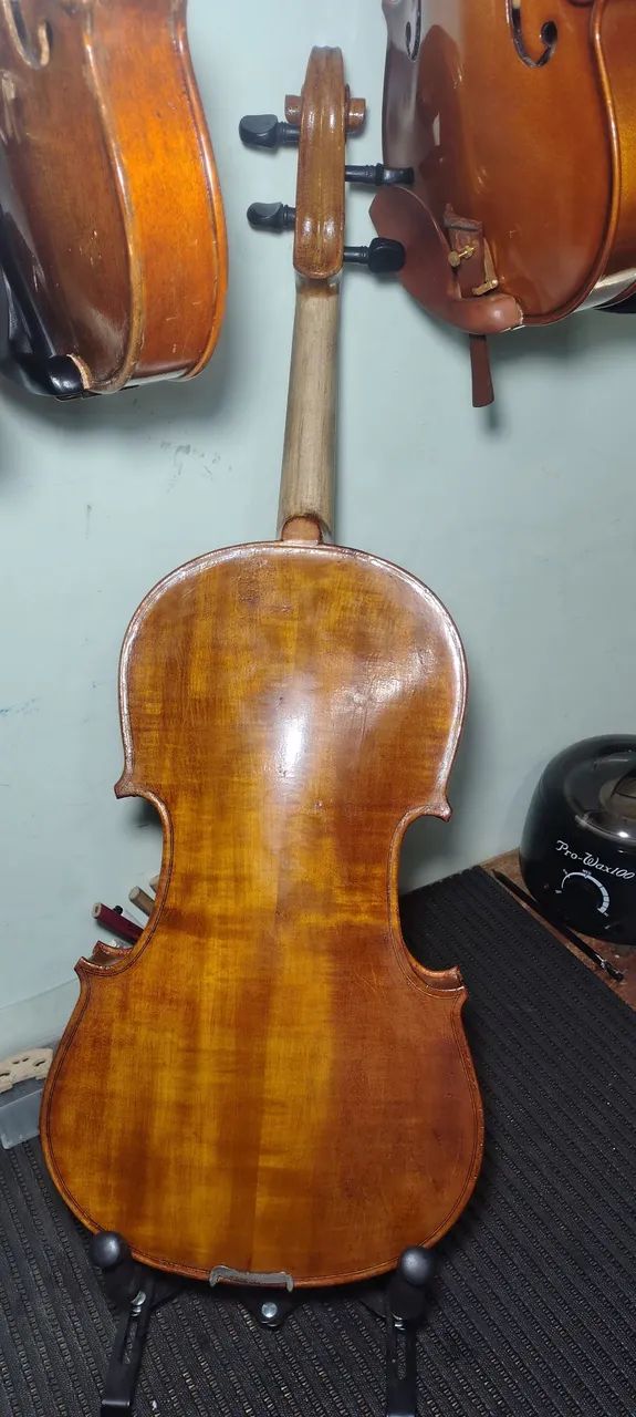Viola  - Foto 2