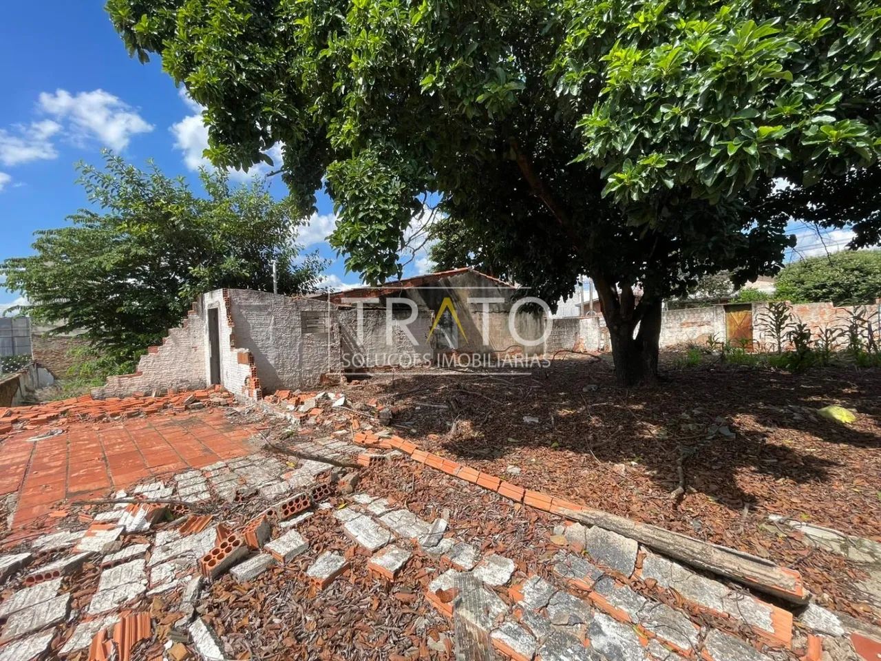 terreno - Taquaral - Campinas - Foto 5