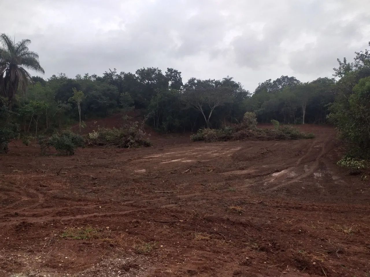 Chácara  - Foto 2