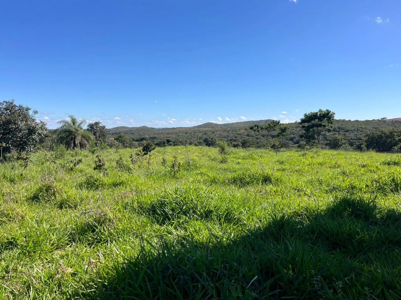 Venda Commercial / Agricultural Pitangui MG - Foto 5
