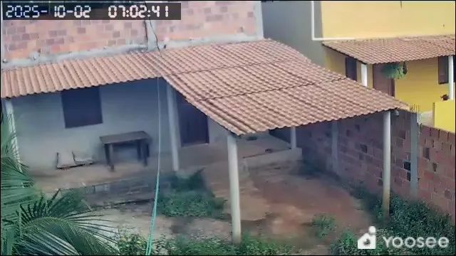 Foto - Conceição do Jacuípe - 