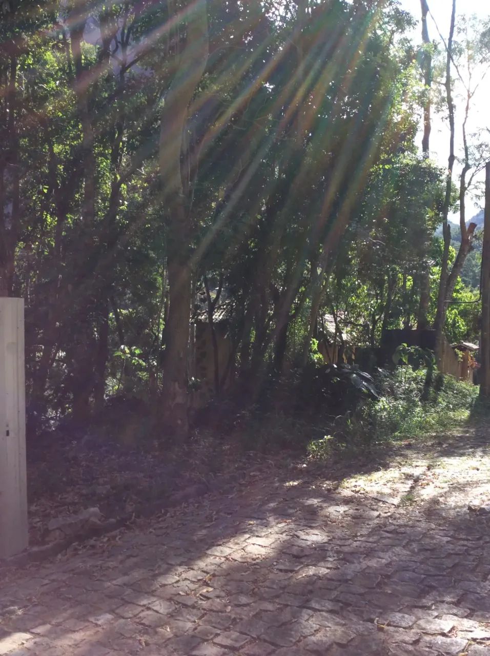 Terreno com 458 m2 - Retiro - Petrópolis, RJ - Foto 3