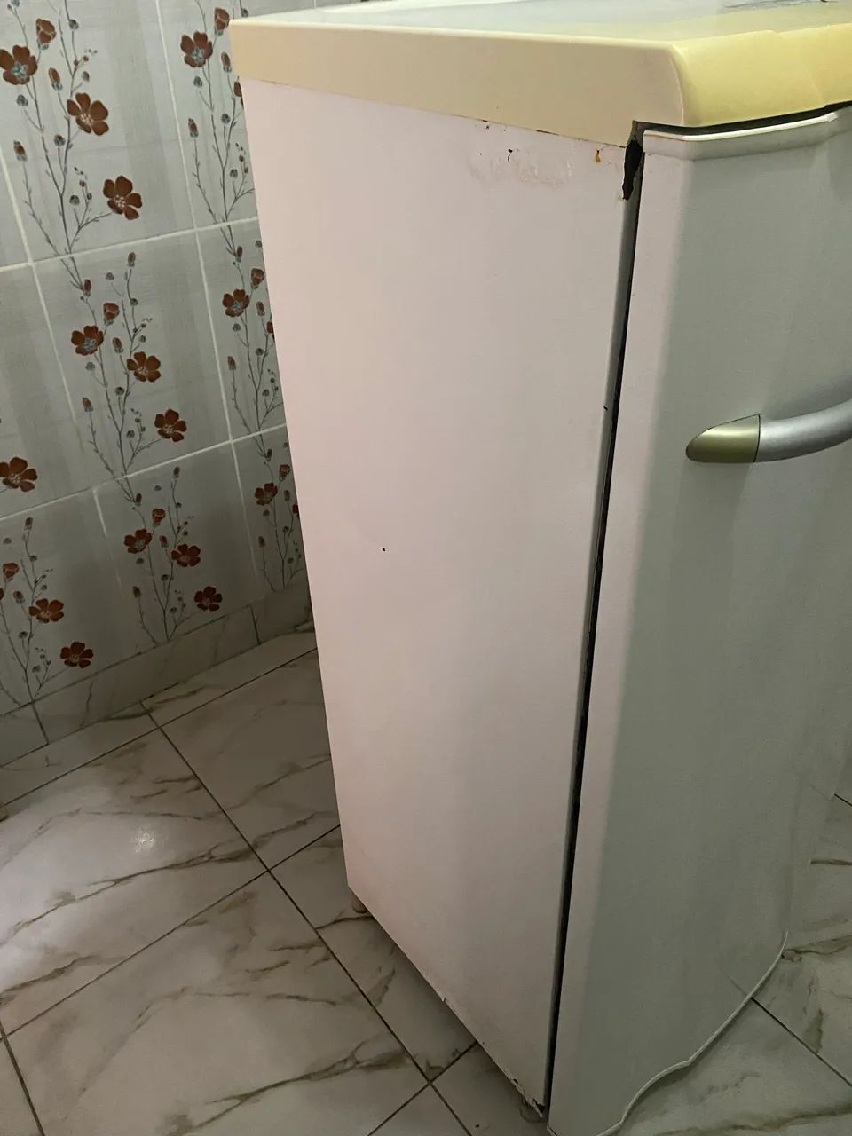 Eletrolux RE28 - Foto 3