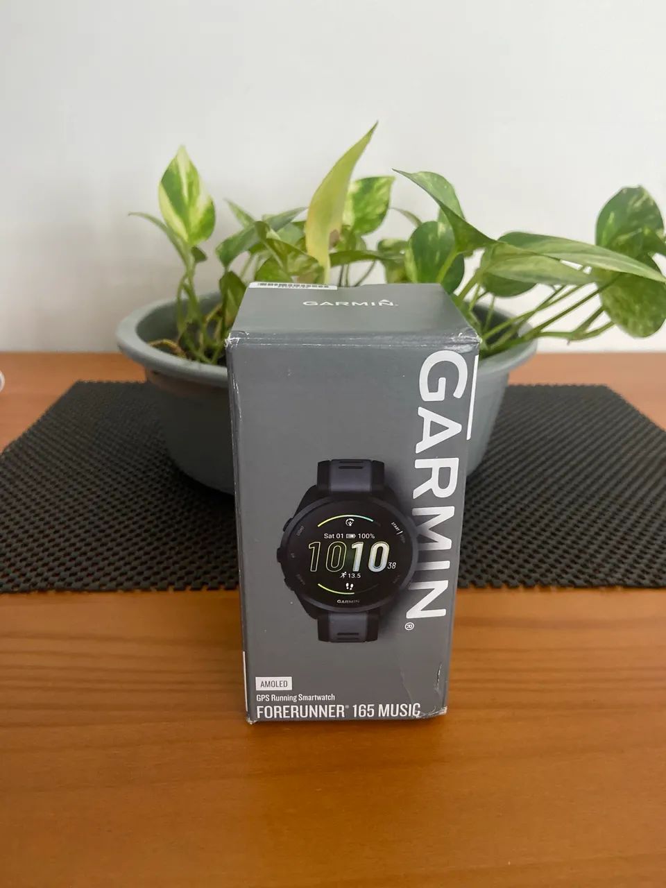 Garmin 165 music (novo)