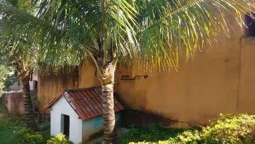 Chácara à Venda em Lavras - Minas Gerais - Foto 2
