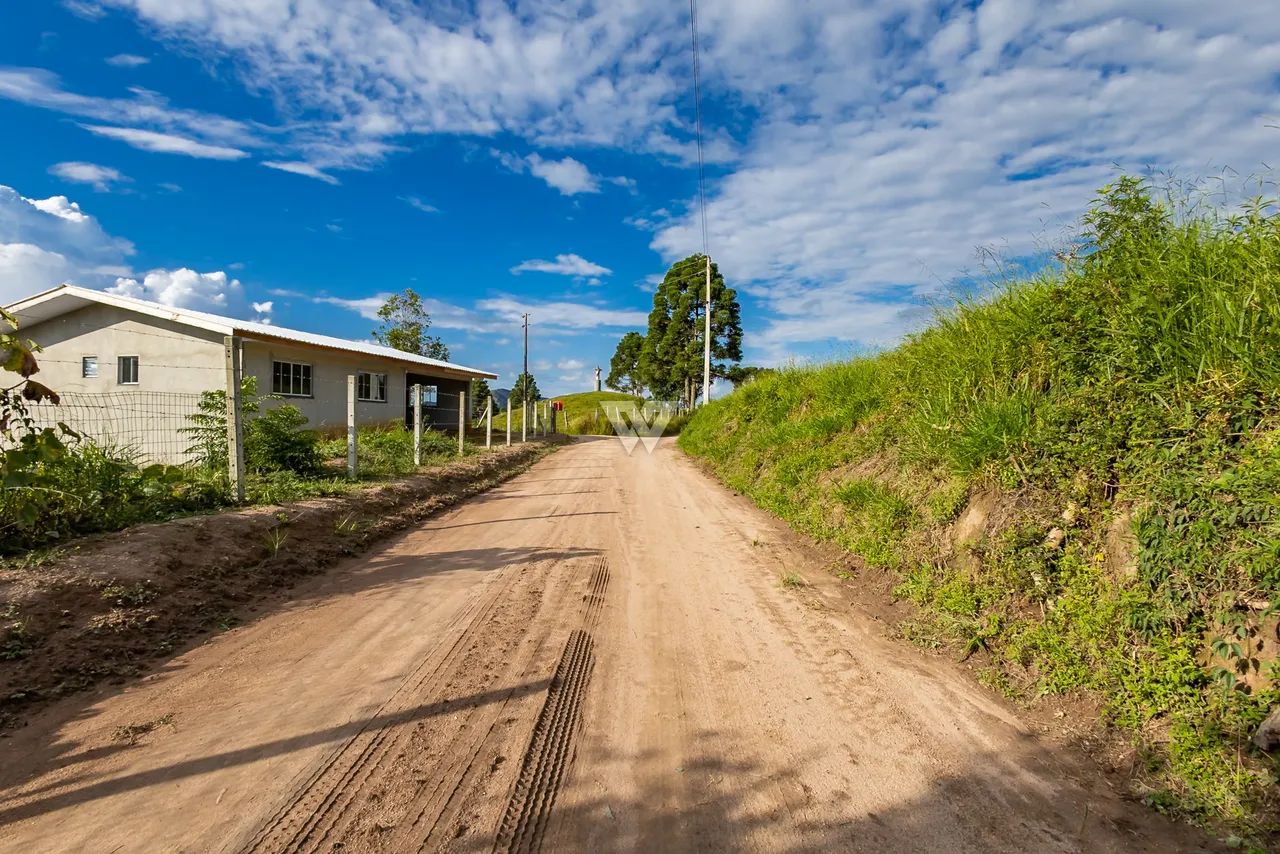 Venda ÁREA CAMPO MAGRO PR Brasil - Foto 5