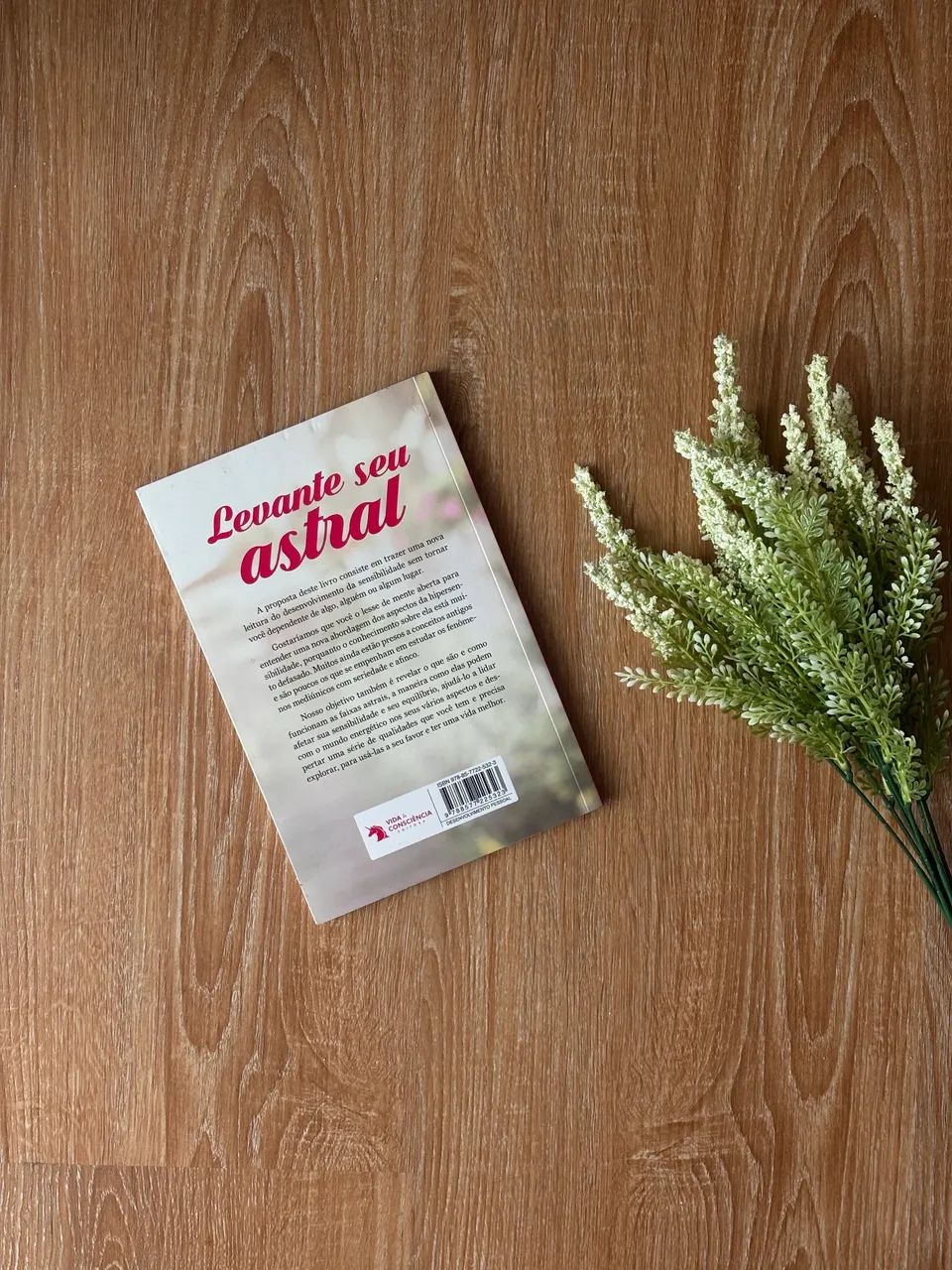 Livro: Levante Seu Astral 