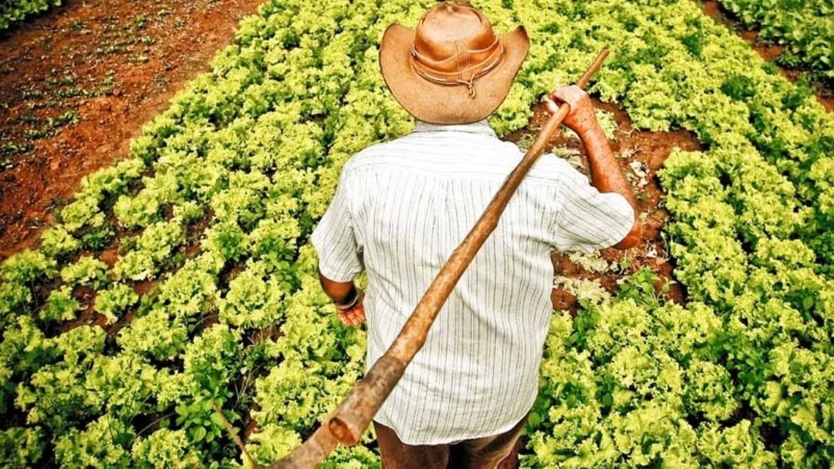 Caseiro com experiência 