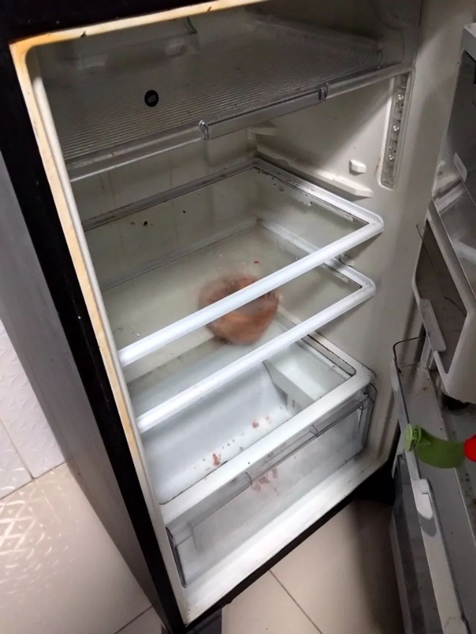 Geladeira  - Foto 4