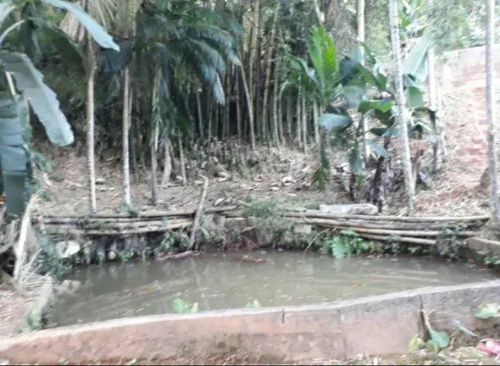 Imóvel para venda tem 5000 metros quadrados com 1 quarto em Centro - Marechal Floriano - E - Foto 2