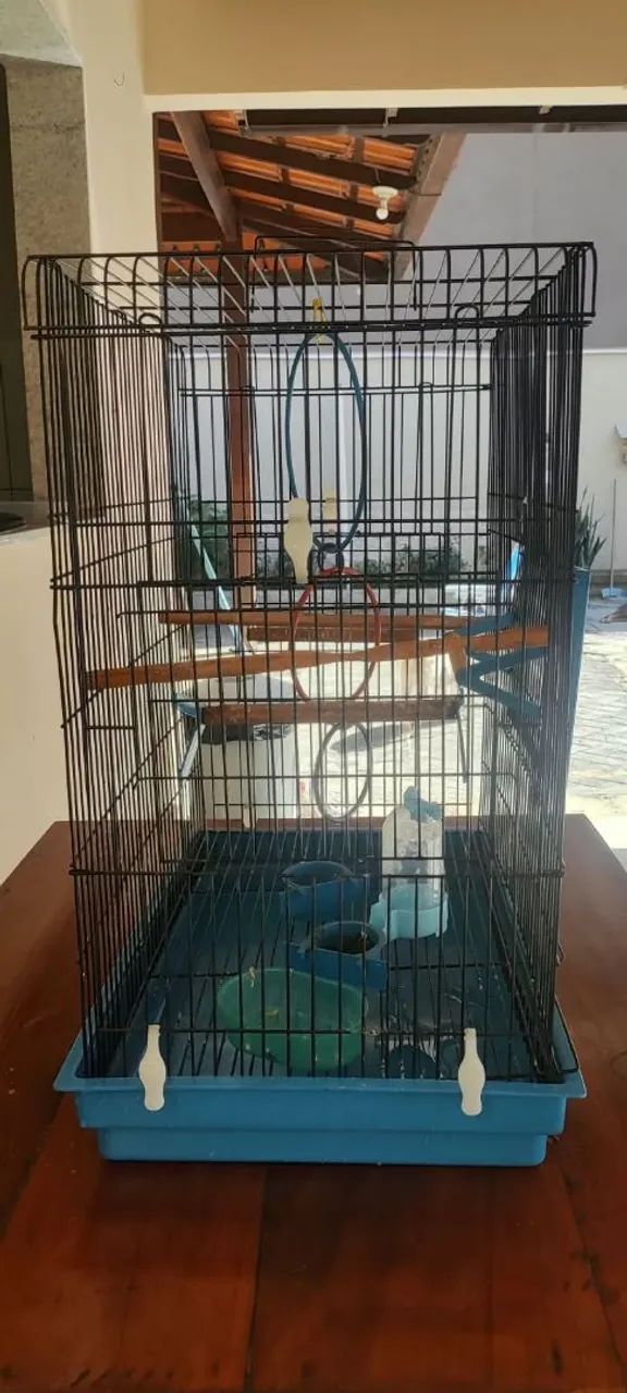 Gaiola para calopsita 