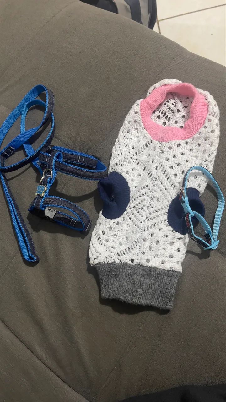 Itens para gato