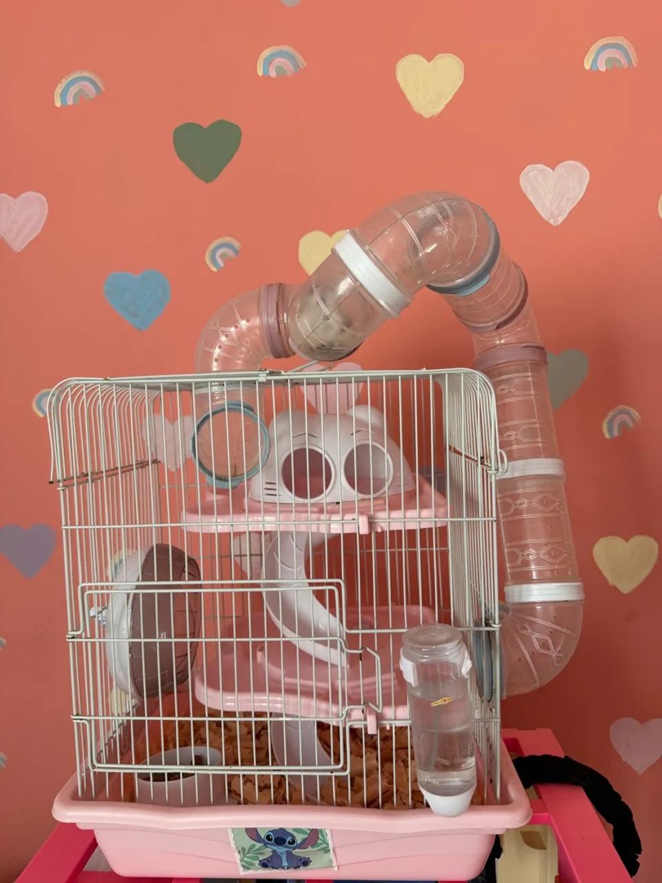 Hamster e Gaiola