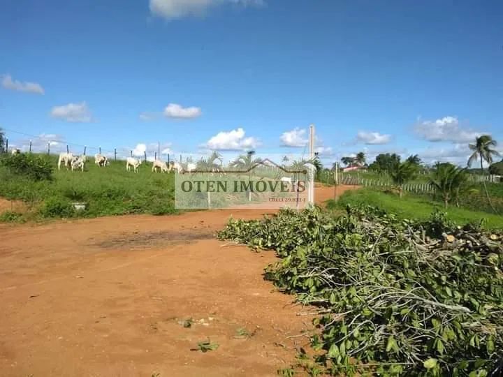 Área para Venda em Feira Nova, Aclimação - Foto 3
