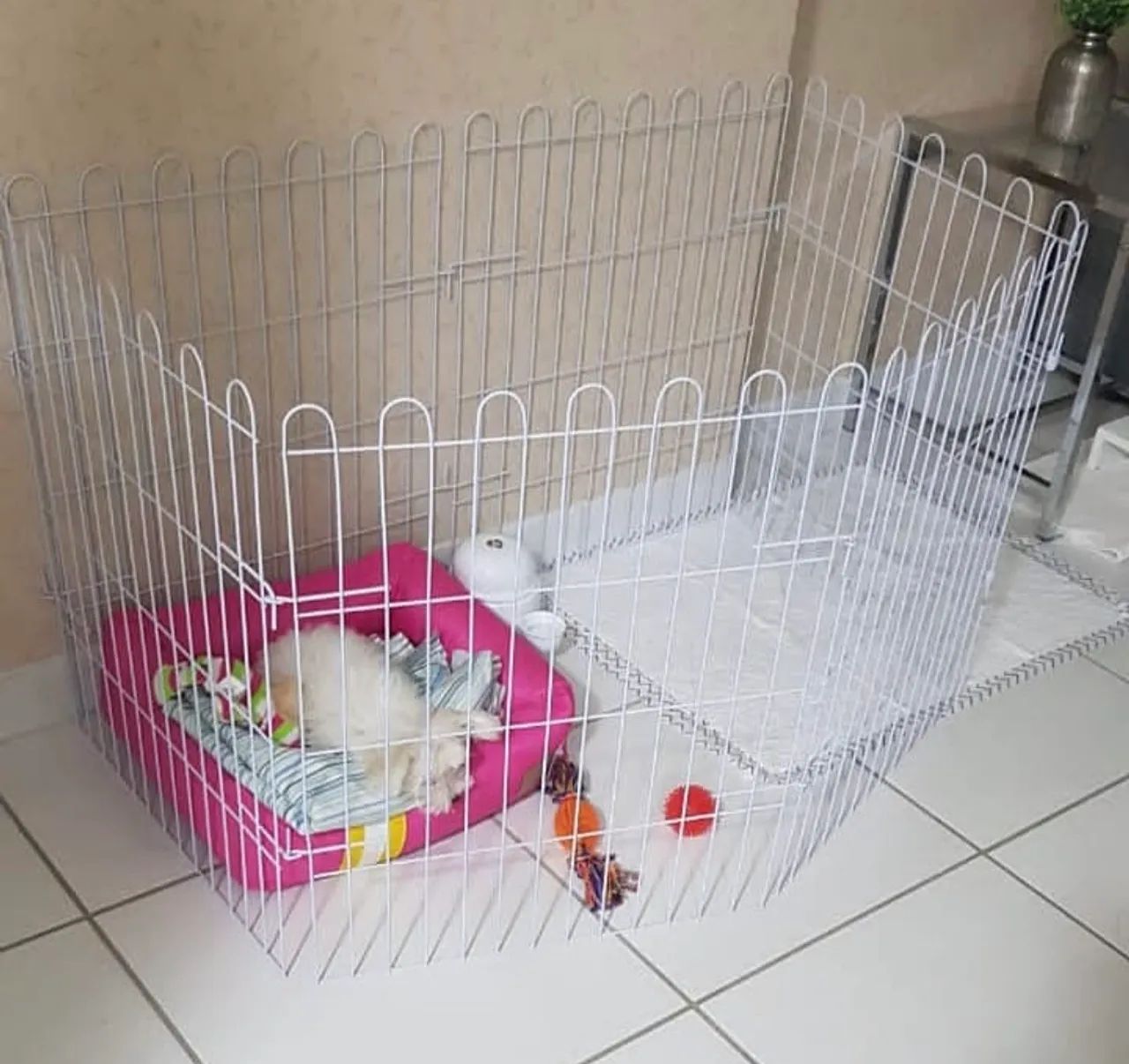 Cercadinhos Pet (grades para cães)  - Foto 2