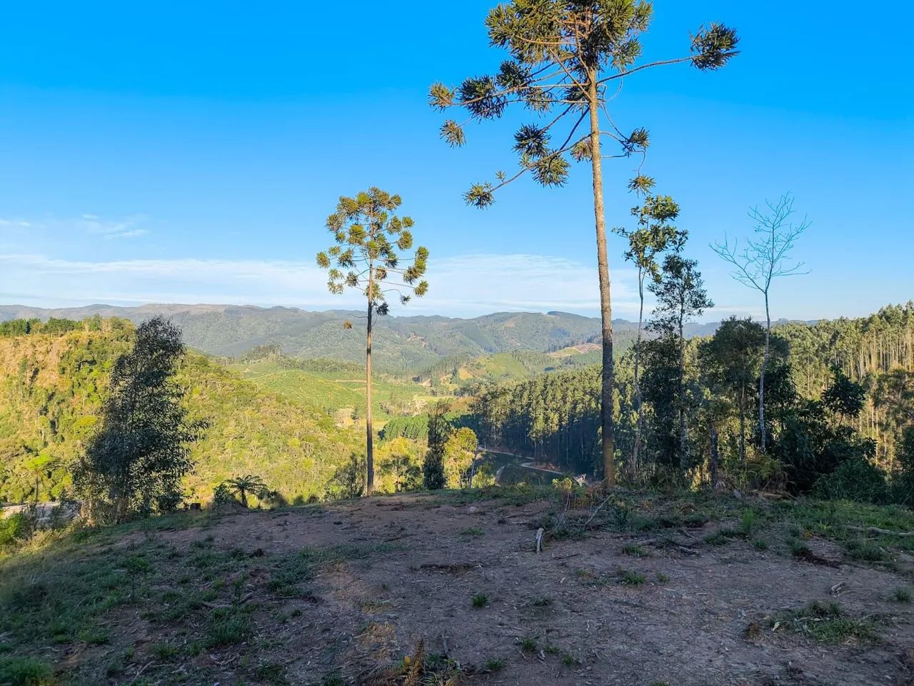 Terreno de 20.000m² em Anitápolis  - Foto 2