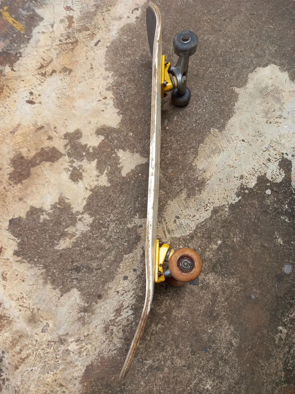 Skate  - Foto 2