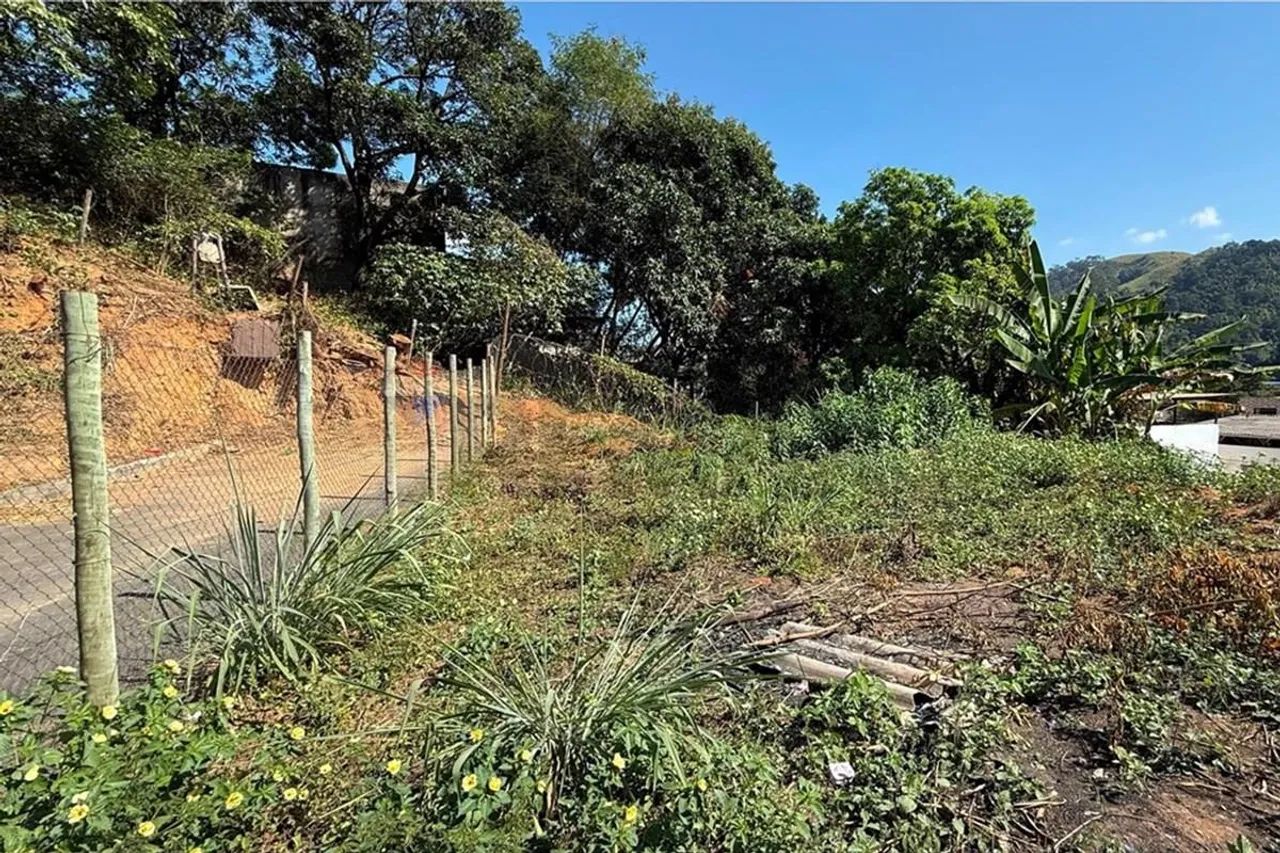 Terreno no Sudeste: Oportunidade Imperdível! - Foto 2