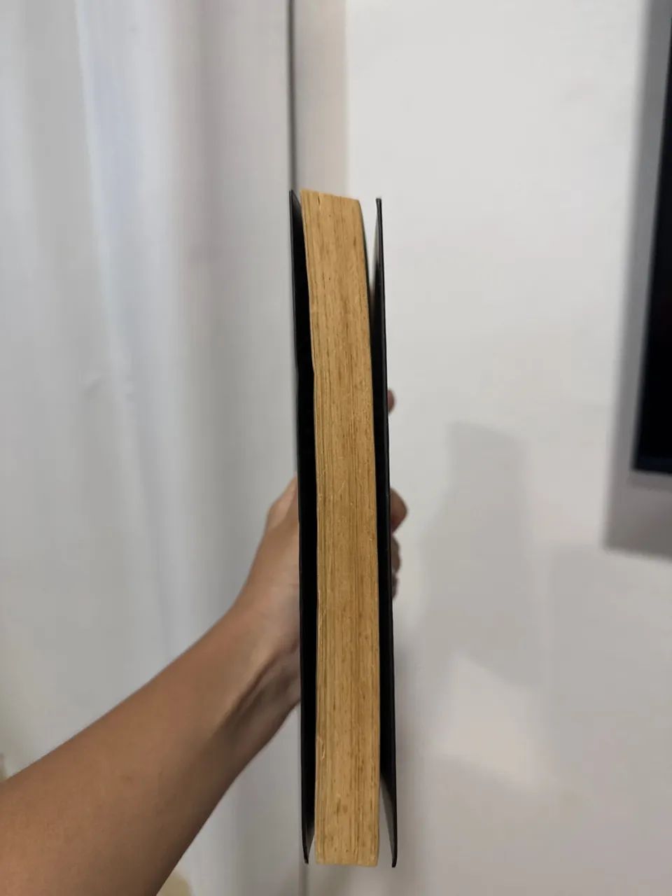 Livro - quem é você, Alasca?  - Foto 2