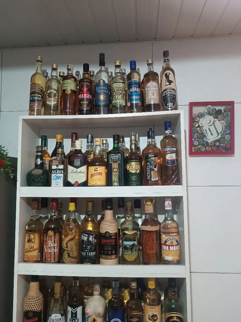 Coleção de cachaças - Foto 2