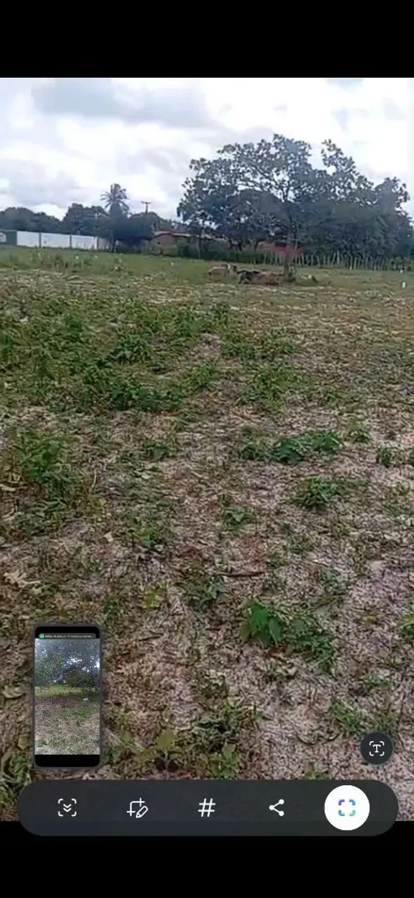 Terreno, lote, horizonte