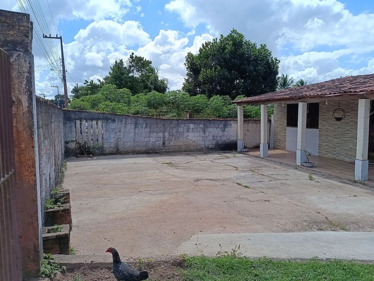 Chácara - Foto 3