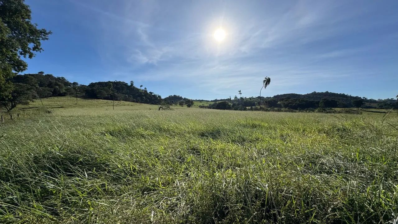 Chácara em Taquaral Go  - Foto 4