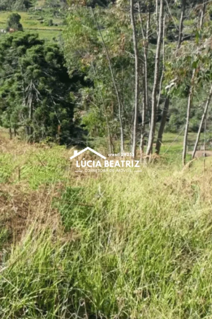 Excelente Sitio com 5 alqueires em Marmelopolis/MG - Foto 5