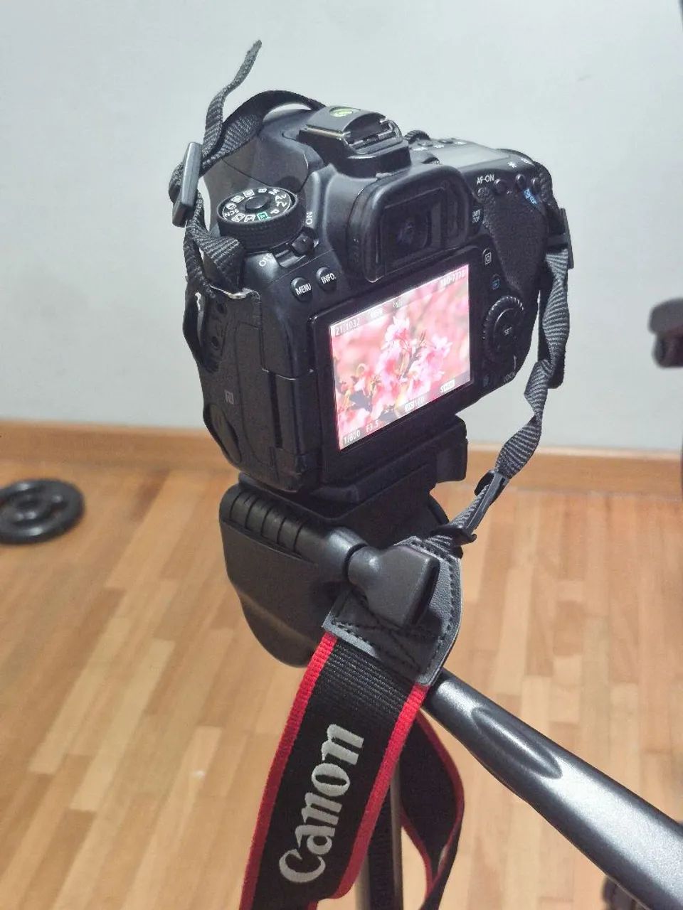 Canon 80d - Foto 4