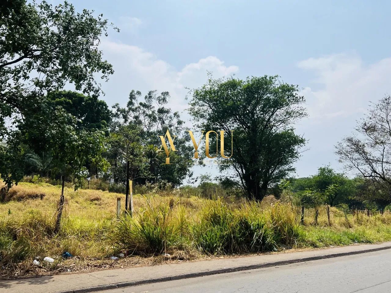 Terreno com área exclusiva e com 3.000 metros de área adensada - Foto 12