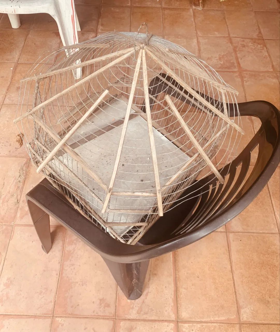 Gaiola bonita  - Foto 3