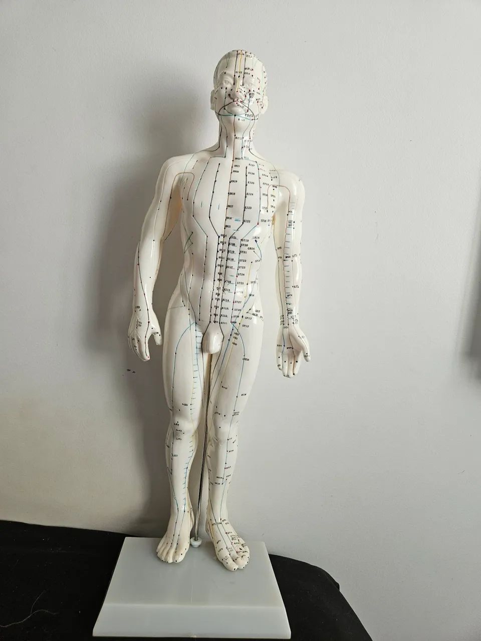 Modelo Anatómico Humanóide de Acupuntura - Ideal para Estudos e Consultórios