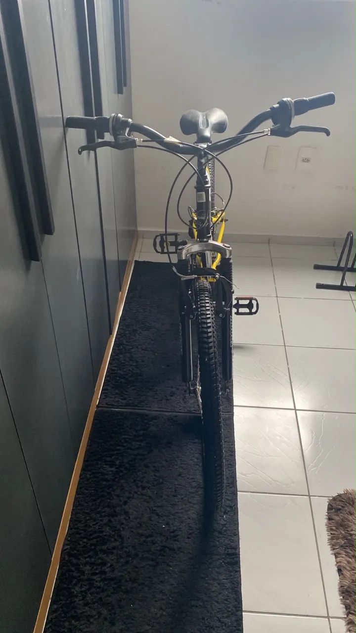 Bicicleta nova