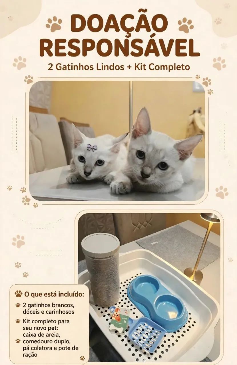 DOAÇÃO 