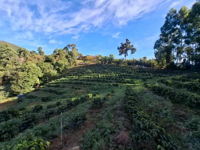 Sitio Recanto Serra  - Lazer e Exploracao Café de Vulcao. - Foto 2