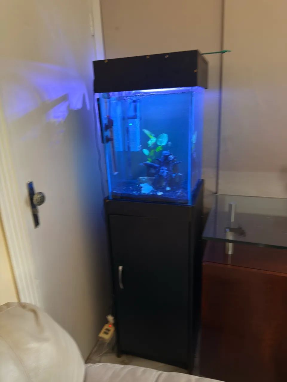 Aquário com móvel  - Foto 4