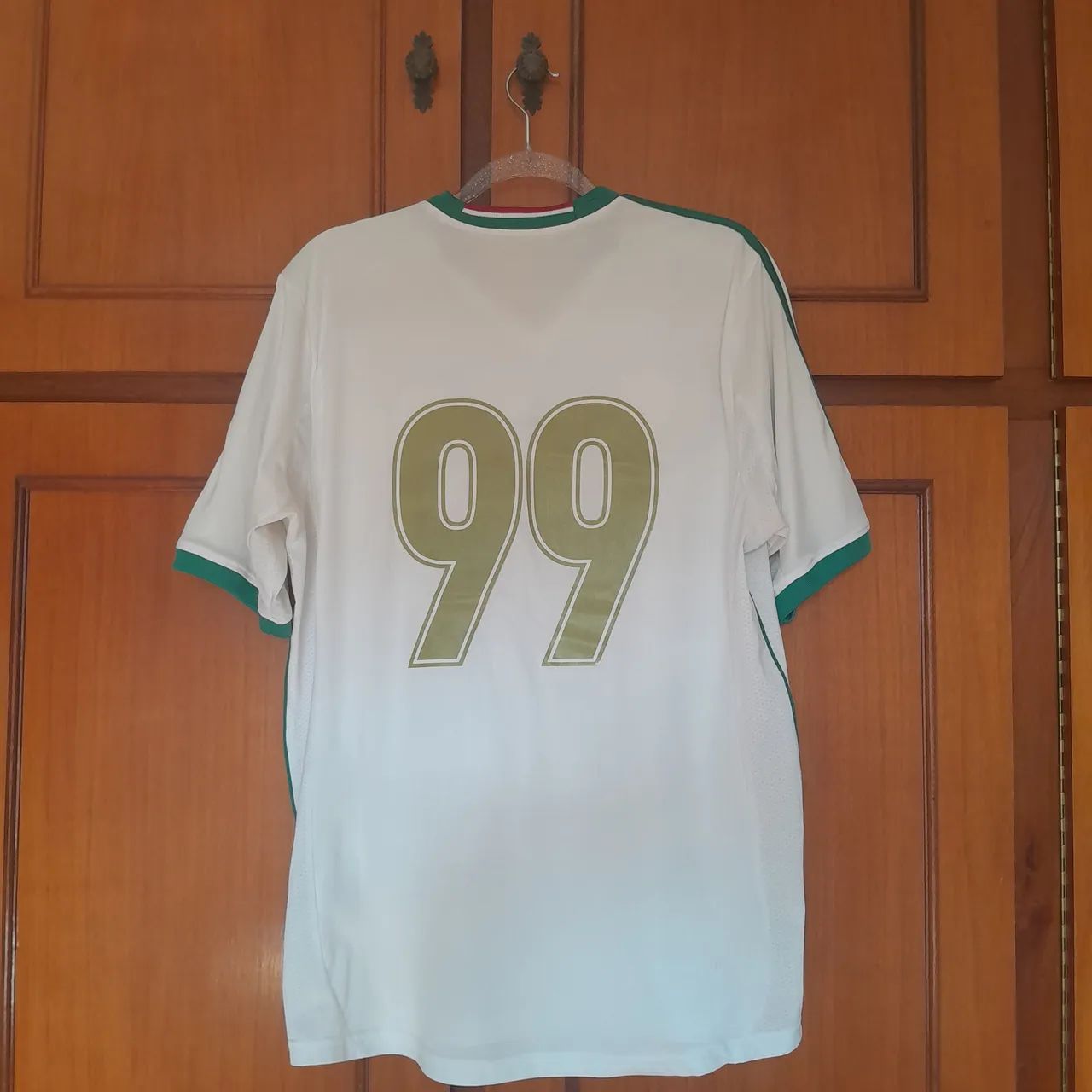 Palmeiras 2013 - G  - Foto 5