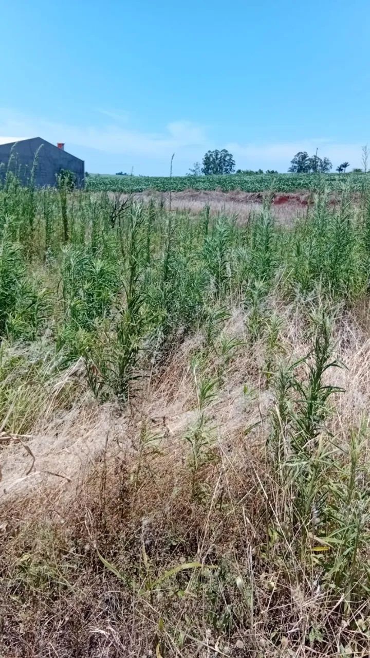 TERRENO EM AQUIDABAN - Foto 2