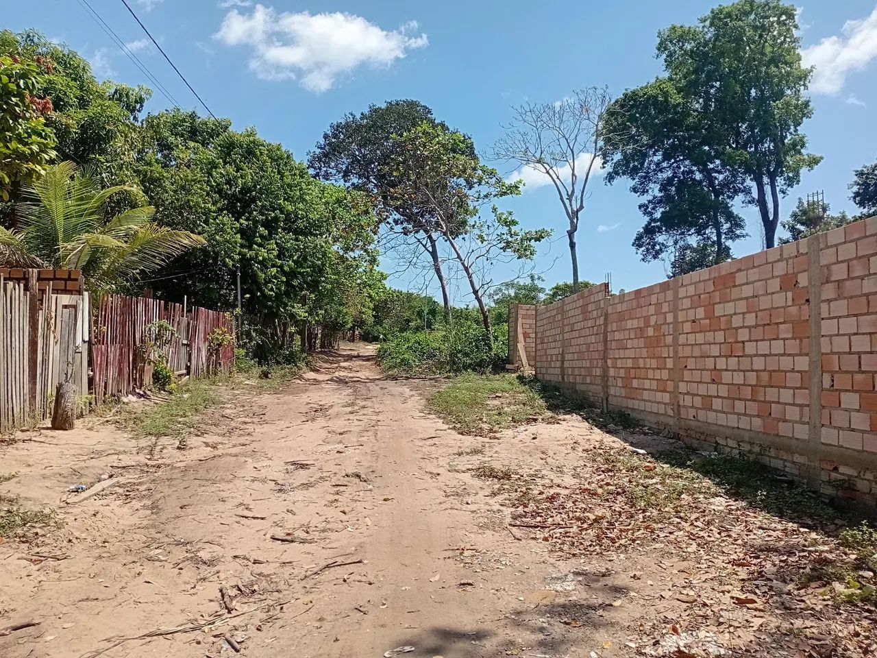 Terreno em alter do chão 10×50 - Foto 2