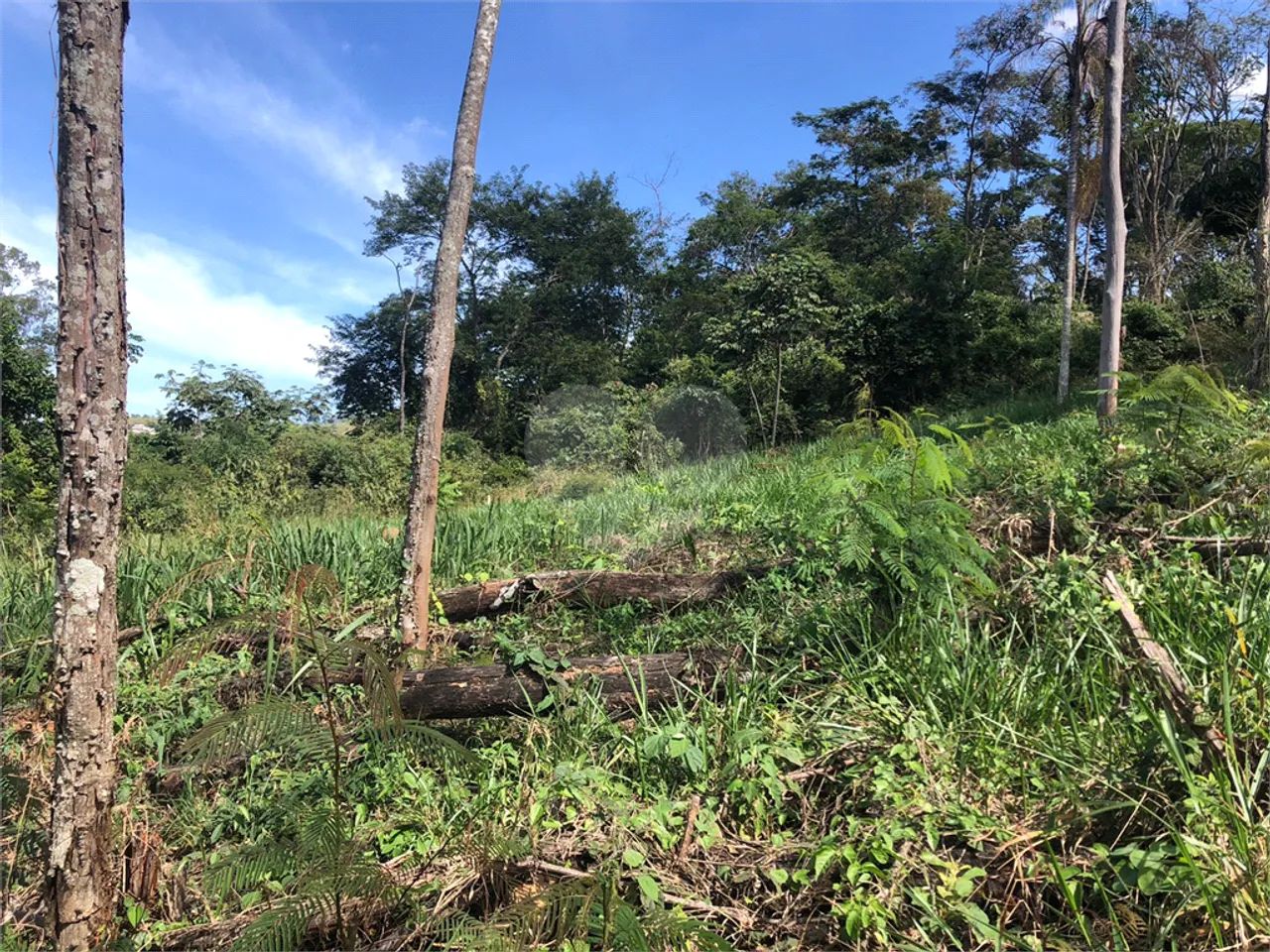 Terreno à venda em Centro - SP - Foto 4