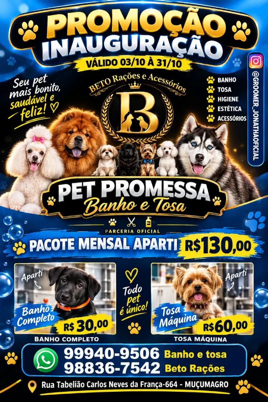 Banho e tosa Valentina 