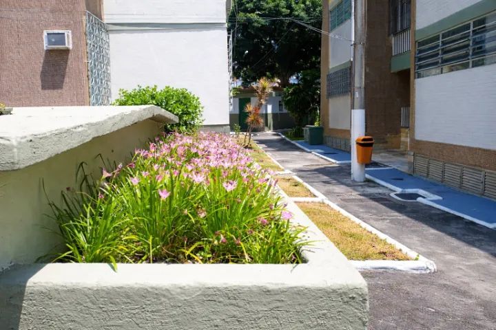 Foto - Rio de Janeiro - Jardim Carioca