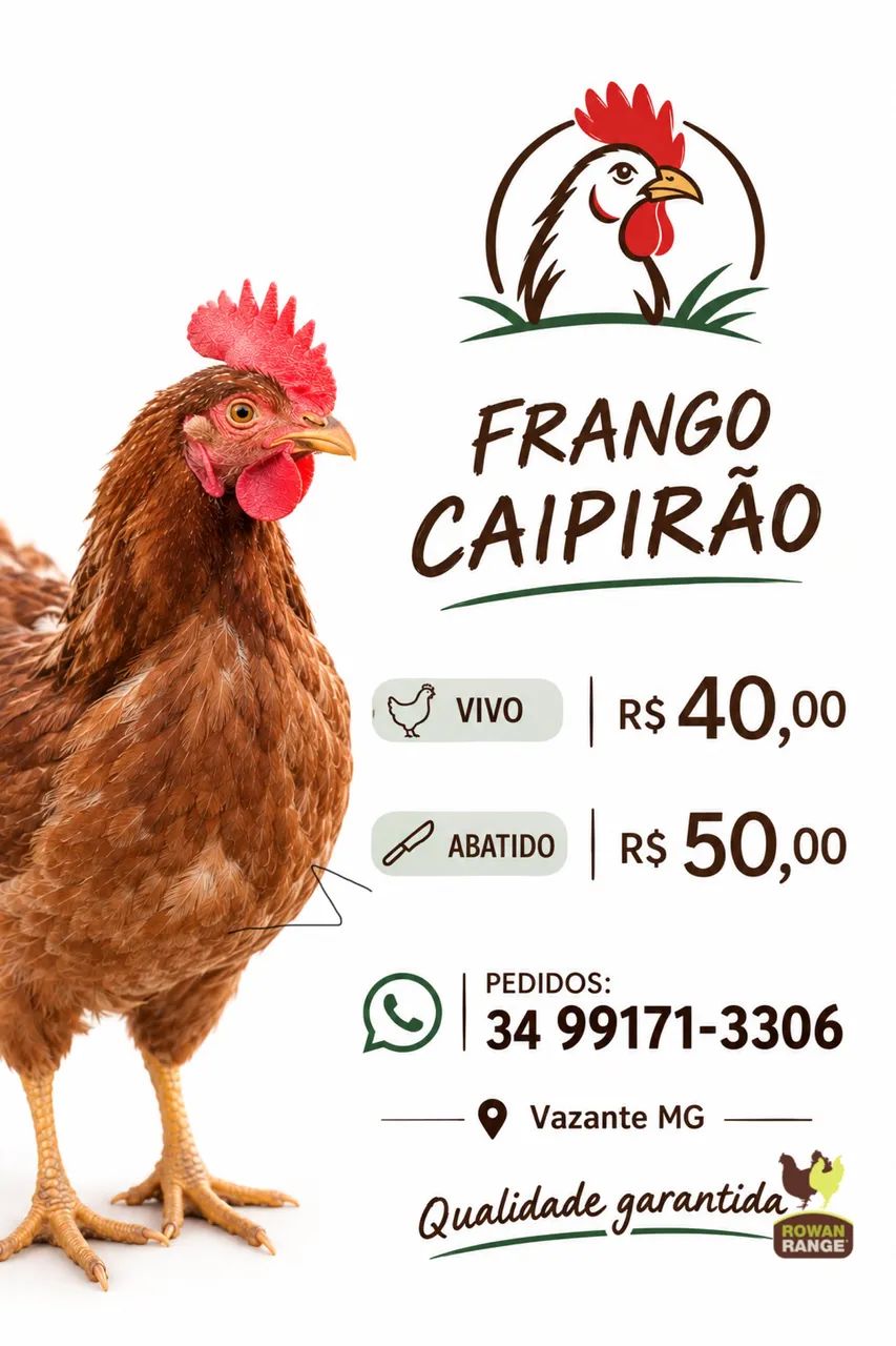 Frango caipirão em Vazante MG