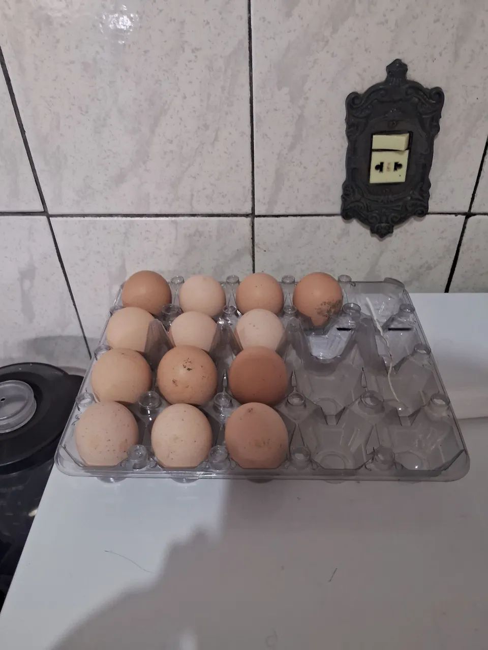 Ovos Brahma - Foto 5